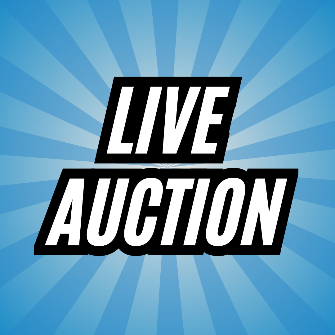 Auction