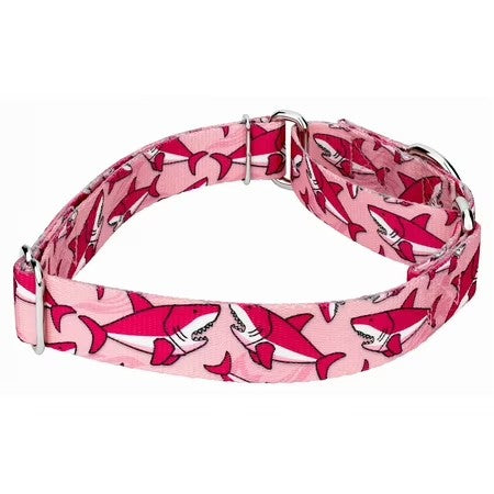 Country Brook Petz  Pink Sharks Martingale Dog Collar, Large