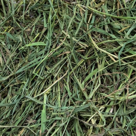 Rabbit Hole Hay, Ultra Premium Soft Timothy Hay; 40 lb bag