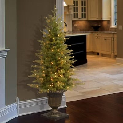 National Tree Co. Nordic Spruce Entrance 4 Foot Pre-Lit Spruce Christmas Tree - H8 - 1147