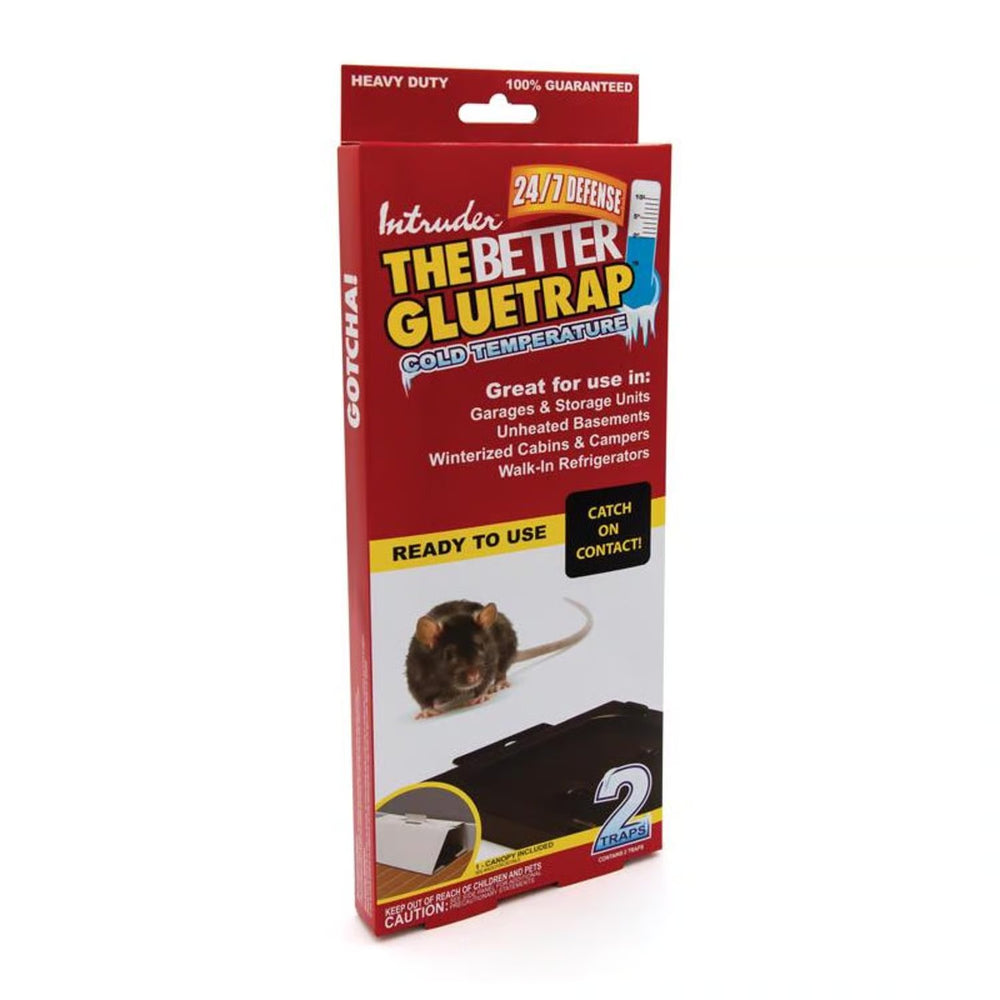 Intruder The Better Gluetrap Cold Temperature Large Glue Trap For Insects/Rodents/Snakes 2 pk - C8 - 420