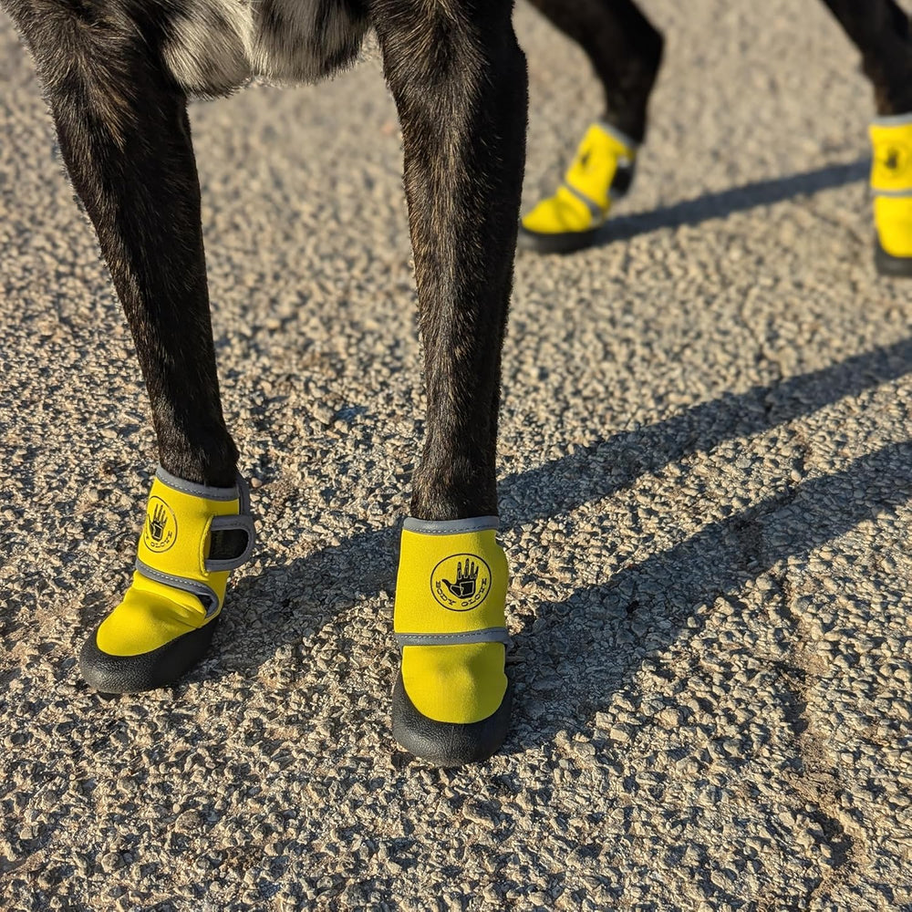Body Glove Paw Protector Booties (Yellow, Large) -B7-0514
