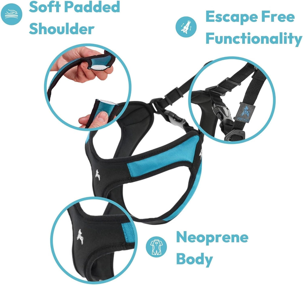Gooby Turquoise X-Small Easy Fit Harness - No Pull Patented Design for Small Dogs with Quick Release Buckle -L10-0229