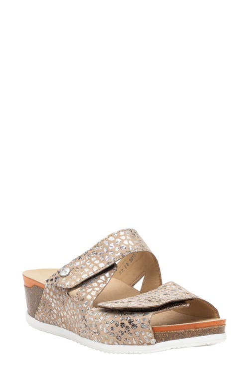 Ara Napa Women s Size 38, US Size 7.5 - A12 - 1576