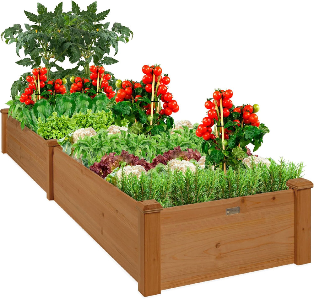 Best Choice Products 8x2ft Outdoor Wooden Raised Garden Bed Planter for Vegetables, Grass, Lawn, Yard - Acorn Brown F3 - 1629
