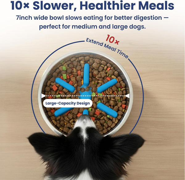 PawsPik 64oz 18/8 Stainless Steel Slow Feeder Dog Bowl, Double-Wall Non-Slip Metal Dog Bowl for Fast Eating Medium & Large Breeds, Detachable Slow Feeder Insert, Dishwasher Safe (Midnight Summit Blue) - L10 - 1650