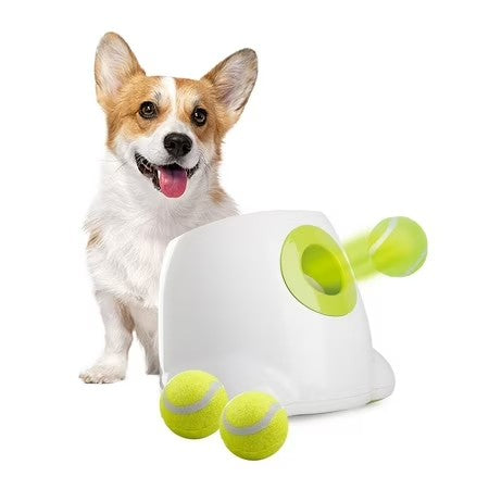All For Paws Automatic Tennis Ball Launcher for Small to Medium Sized Dogs, 3 Balls Included, Mini - G10 - 1817