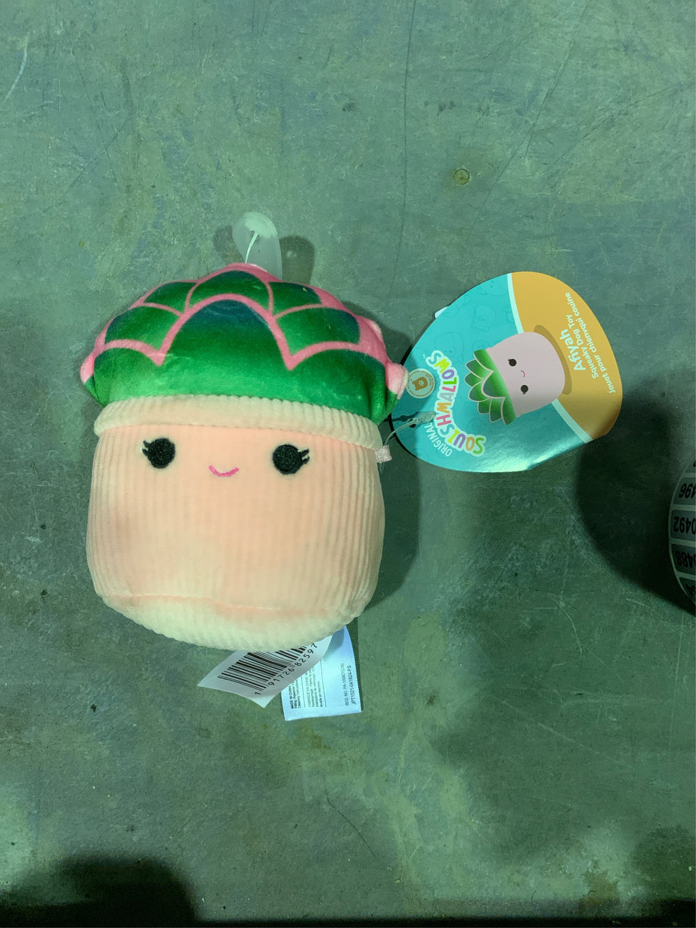 Squishmallows Afiyah the Succulent Squeaky Dog Plush Toy -B2-0452 -B2-0454