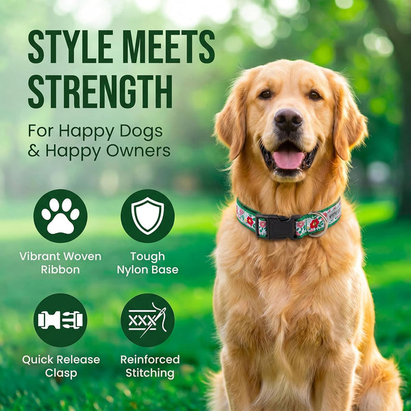 THE WORTHY DOG Adjustable Dog Collar for Medium Dogs, Durable Nylon Webbing, Quick Release Buckle, Spring Garden Floral Pattern, Coral, Medium -F10-1873