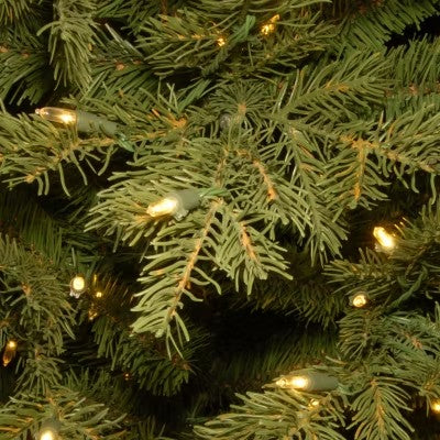 National Tree Co. Nordic Spruce Entrance 4 Foot Pre-Lit Spruce Christmas Tree - H8 - 1147