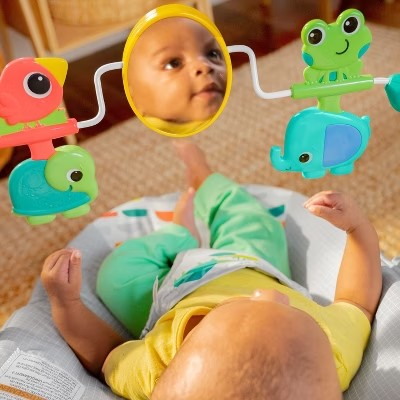 Bright Starts Playful Paradise Vibrating Baby Bouncer with Toys 1688