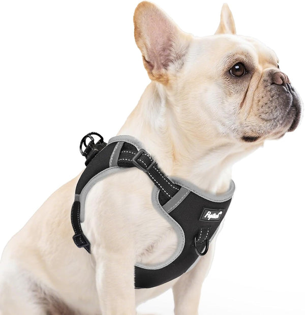 PUPTECK Dog Harness Small Sized Dog, Step in Adjustable Reflective Dog Vest Harness Escape Proof, No Pull Soft Padded Harness Easy Control, Black, M - K11 - 1669