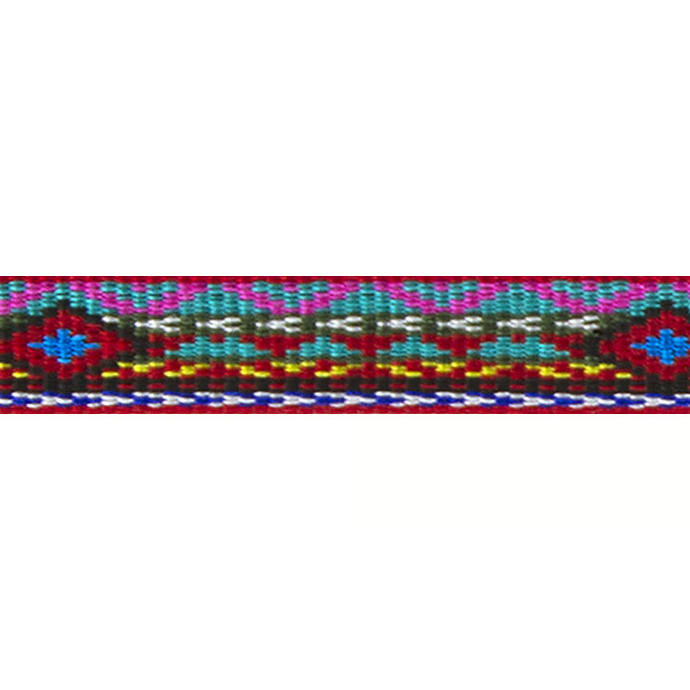 LupinePet Original Designs Multicolor El Paso Nylon Dog Leash -F11-0201