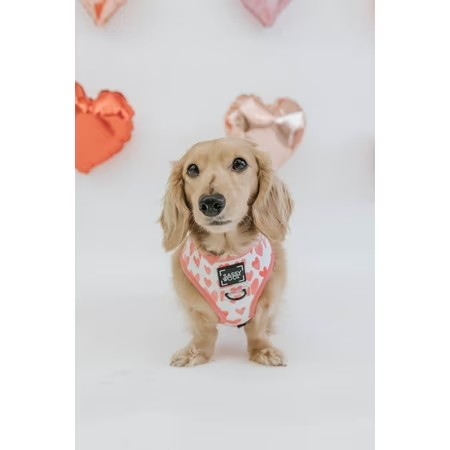 Dolce Rose Dog Reversible Harness - Extra Small -F11-0202