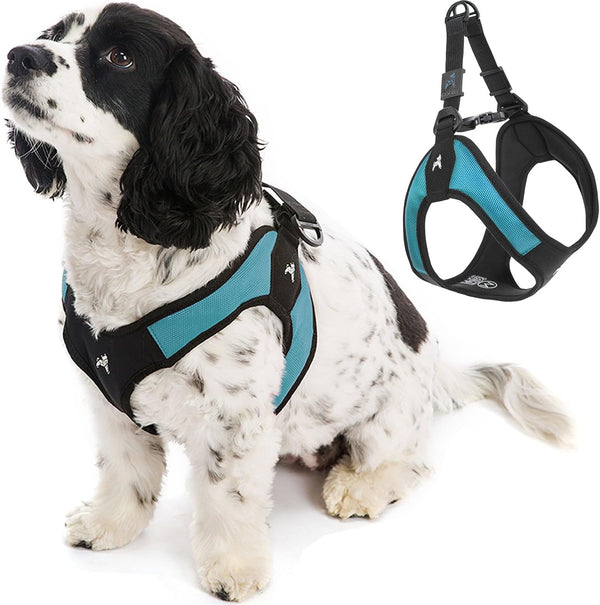 Gooby Turquoise X-Small Easy Fit Harness - No Pull Patented Design for Small Dogs with Quick Release Buckle -L10-0229