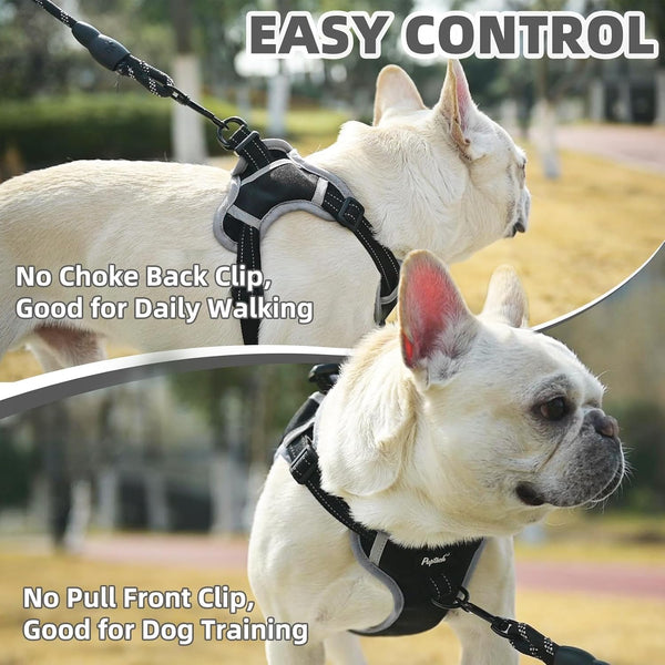 PUPTECK Dog Harness Small Sized Dog, Step in Adjustable Reflective Dog Vest Harness Escape Proof, No Pull Soft Padded Harness Easy Control, Black, M - K11 - 1669