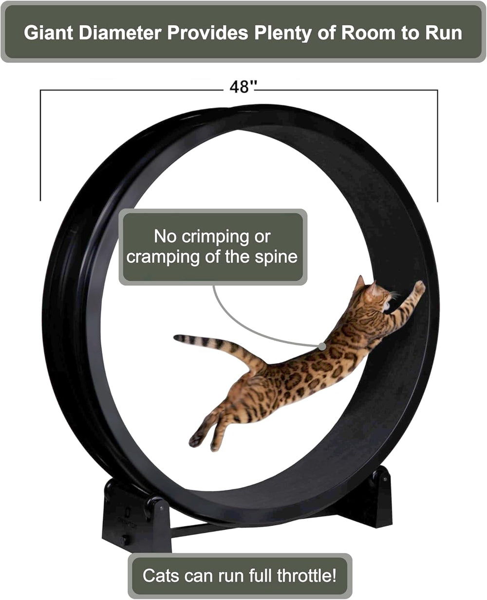 One Fast Cat - Cat Exercise Wheel - Gen. 7 - Safe 48" Diameter - Made in The USA - Black Wheel with Black Felt Traction Pads and Solid Inline Wheels - L11 - 1671