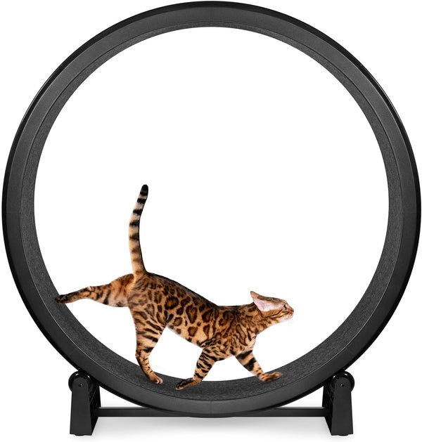 One Fast Cat - Cat Exercise Wheel - Gen. 7 - Safe 48" Diameter - Made in The USA - Black Wheel with Black Felt Traction Pads and Solid Inline Wheels - L11 - 1671