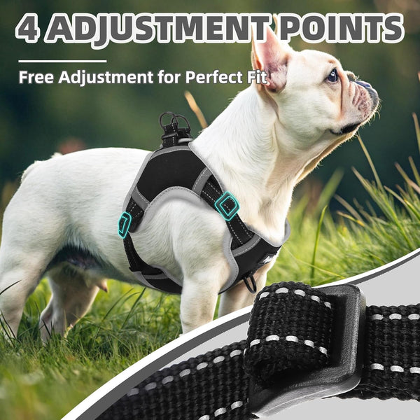 PUPTECK Dog Harness Small Sized Dog, Step in Adjustable Reflective Dog Vest Harness Escape Proof, No Pull Soft Padded Harness Easy Control, Black, M - K11 - 1669