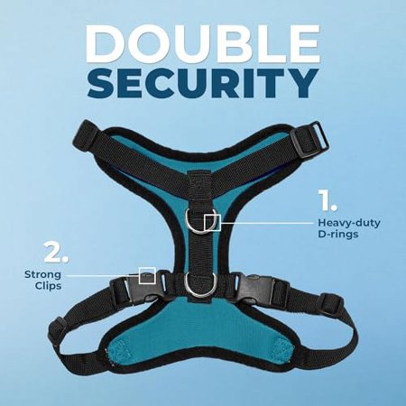 Voyager Step-In Lock Pet Harness - All Weather Mesh, Adjustable Step In Harness for Cats and Dogs by Best Pet Supplies - Turquoise/Black Trim, S - F2 - 1940