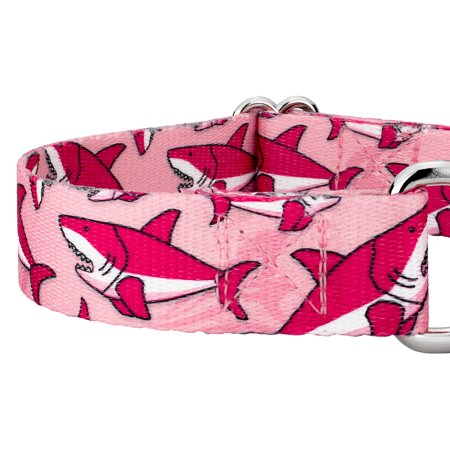 Country Brook Petz  Pink Sharks Martingale Dog Collar, Large