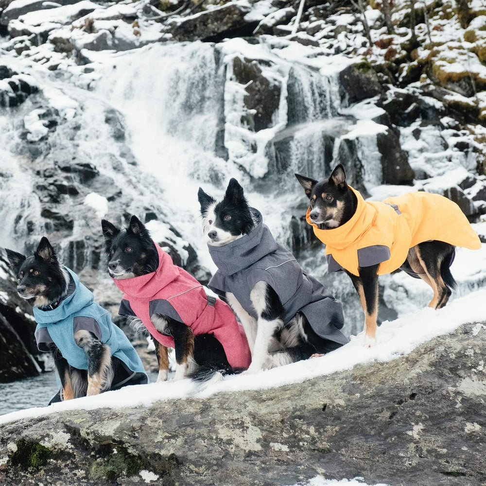 Hurtta Expedition Parka, Winter Dog Coat, Bilberry, 20 in -G5 - 1738