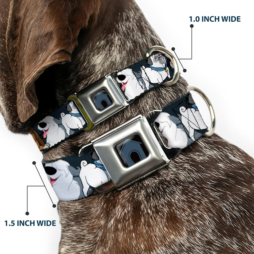Buckle-Down Dog Collar Seatbelt Buckle Disney Dogs Group Collage Paws Gray Black 11 to 17 Inches 1.0 Inch Wide, DC-SB-DYAMF-WDY725-1.0-M - F6 - 1809