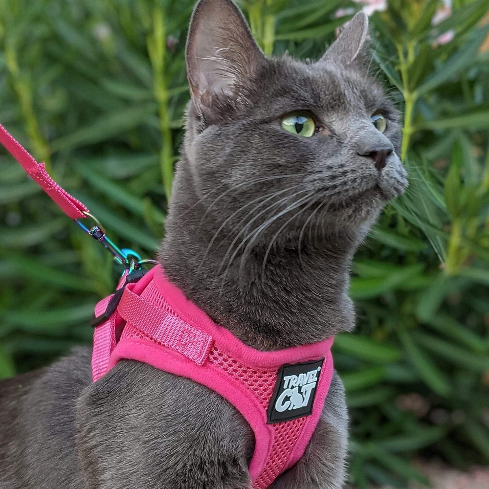 Travel Cat Harness and Leash Set - Adjustable Fit Mesh Cat Harness and Reflective Strap - Comfort Walking Vest for Kitten for Outdoor Walking, Hiking (Small) - L9 - 1641
