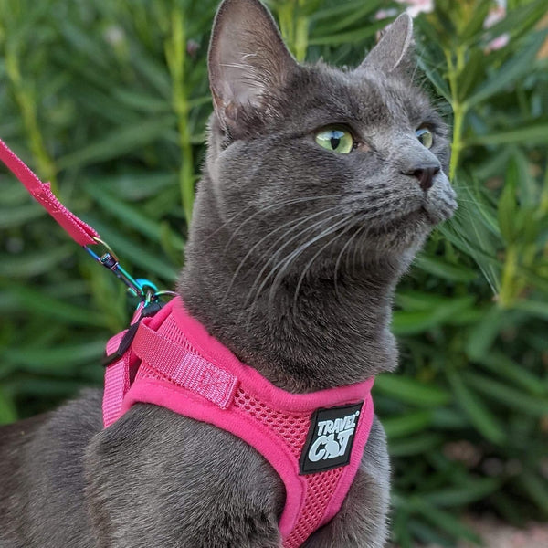 Travel Cat Harness and Leash Set - Adjustable Fit Mesh Cat Harness and Reflective Strap - Comfort Walking Vest for Kitten for Outdoor Walking, Hiking (Small) - L9 - 1641