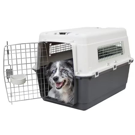 SportPet Designs Airline Approved Plastic Dog Kennel with Wheels, Large - A5 - 442