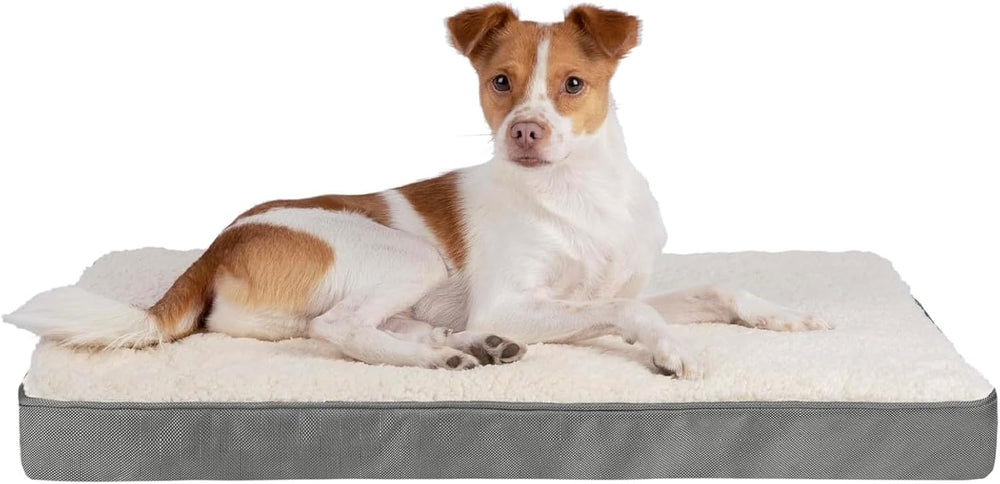 Best Pet Supplies Orthopedic Dog Bed with Memory Foam, Washable Dog Crate Mat for Small, Medium & Large Dogs, Thick Mattress for Crates, Kennels or Floor, Waterproof Pet Bed - Gray, 41 x 29 x 4 - C11 - 1269