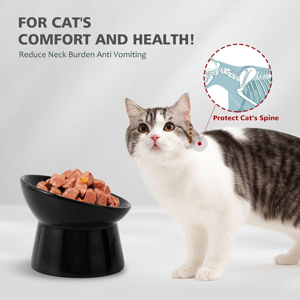 Raised Ceramic Cat Food Bowls   Tilted Elevated Anti-Vomit Cat Bowl   Whisker-Friendly Wide Shallow Feeding Dish   for Dry & Wet Food   Microwave & Dishwasher Safe -G7-0187
