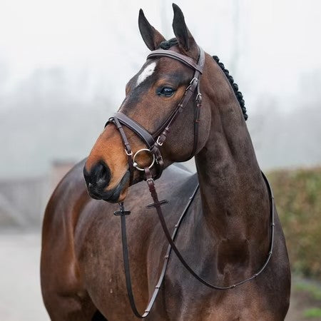 Horze Venice Snaffle Bridle Horse Dk Brown - B9 - 1526
