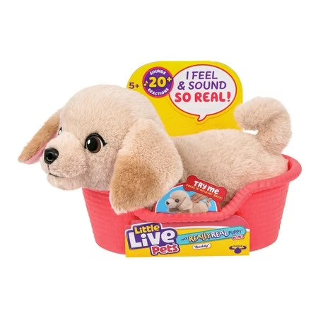 Little Live Pets My Really Real Puppy Minis Buddy the Retriever Interactive Puppy with 20+ Sounds & Reactions Ages 5+ -F10-0136