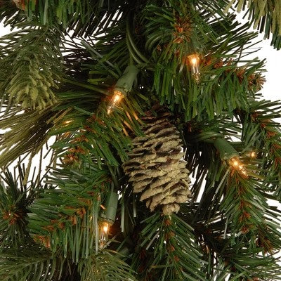 National Tree Company 9 ft. Carolina Pine Garland with Battery Operated LED Lights - E1 - 869