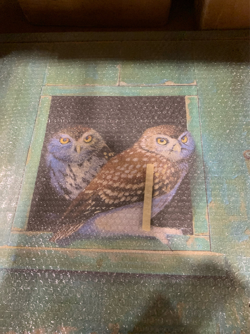 Spotted Owls Perched Rustic Green Door Ledge by Alan Weston Unframed Animal Art Print 24 in. x 24 in. -F10-0910