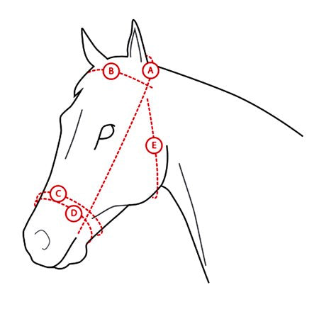 Horze Venice Snaffle Bridle Horse Dk Brown - B9 - 1525