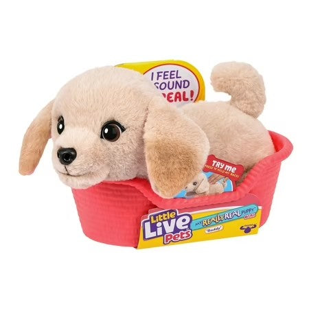 Little Live Pets My Really Real Puppy Minis Buddy the Retriever Interactive Puppy with 20+ Sounds & Reactions Ages 5+ -F10-0136