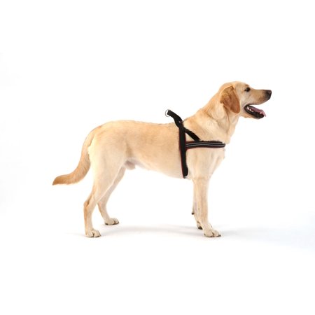 ComfortFlex Sport Dog Harness   No-Choke, Fully Padded, Non-Chafing Harness - Hunter Orange, XLarge - F6 - 1814