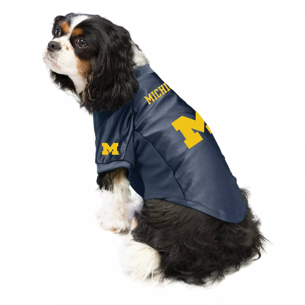 NCAA Michigan Wolverines Pet Stretch Jersey Size Large - F9 - 1896