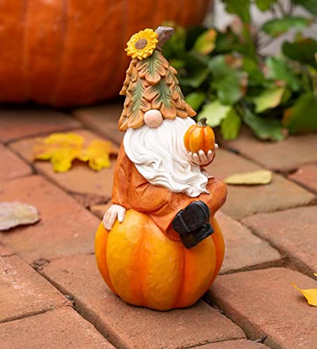 Orange Happy Harvest Pumpkin Garden Gnome - F9 - 1897