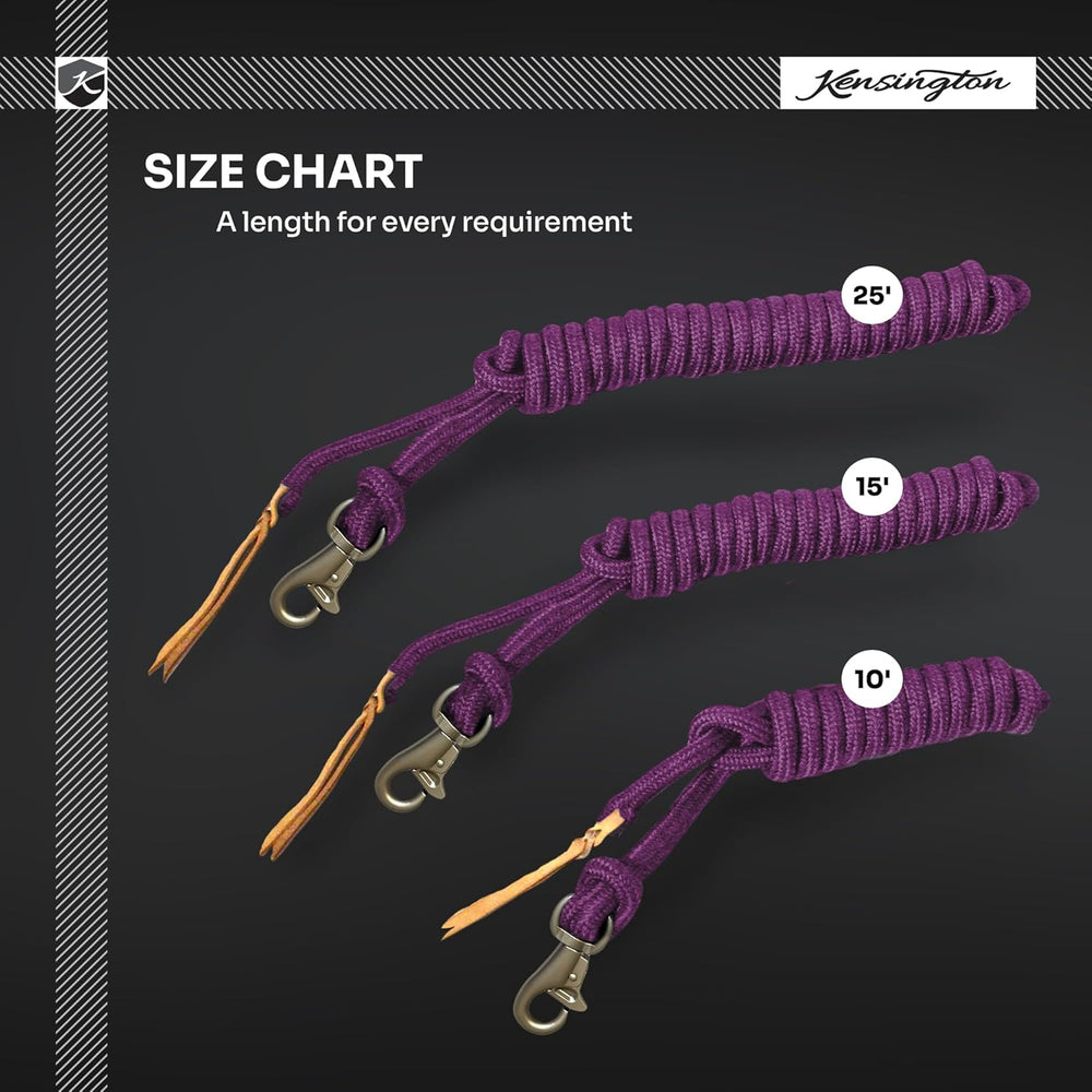 Kensington Training Lead Size: 10' Color: Brown w/Gold -A10-1262