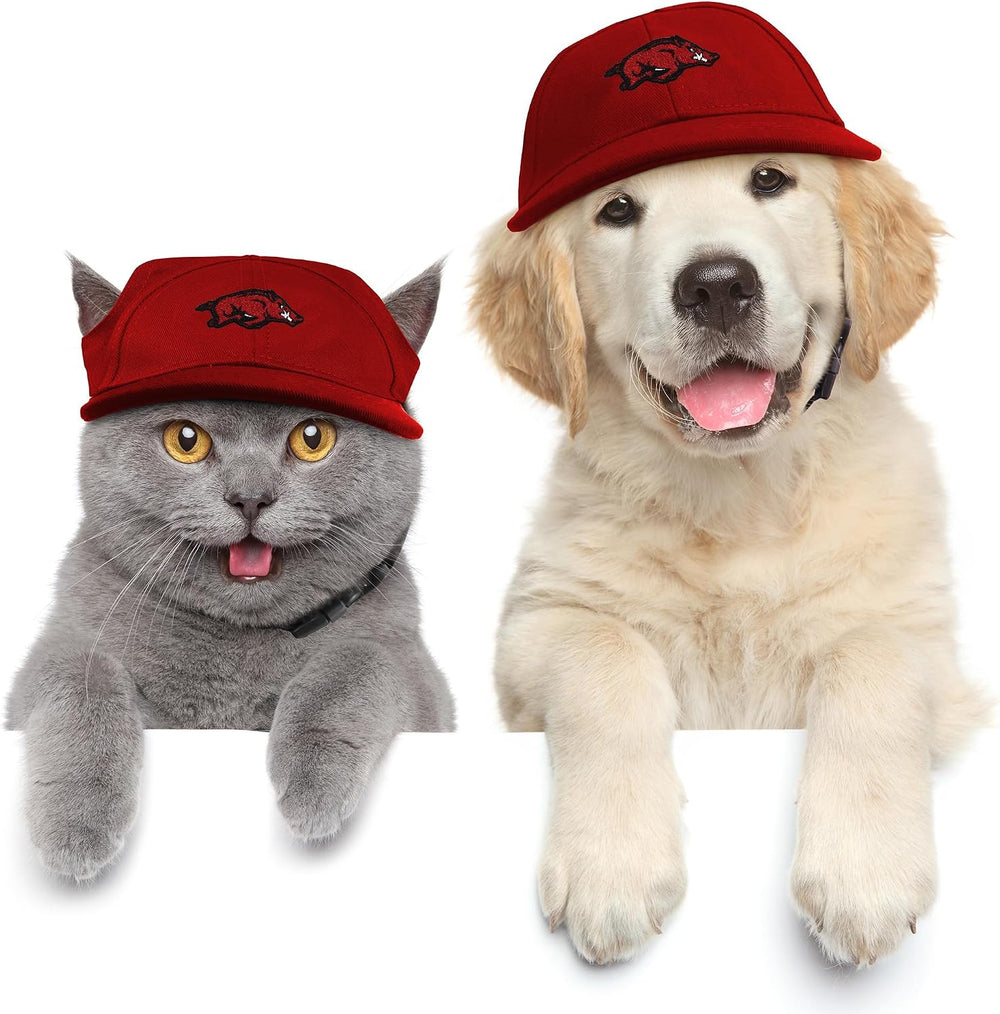 Littlearth Unisex NCAA Pet Baseball Hat Size Small - F13 - 226