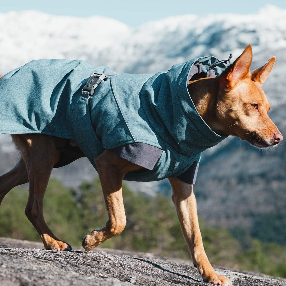 Hurtta Expedition Parka, Winter Dog Coat, Bilberry, 20 in -G5 - 1738