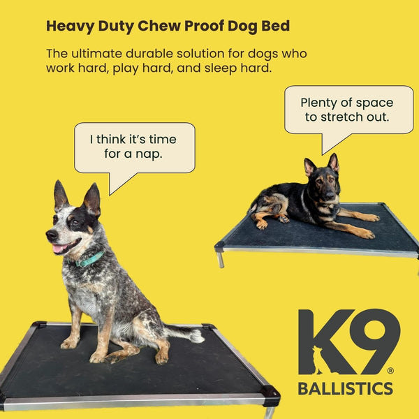K9 Ballistics Chew Proof Elevated Outdoor Cooling Cot Bed for X Large Dogs - Virtually Indestructible, Preassembled, Withstands Aggressive Chewers - XL, Ripstop Blue Quartz - H7 - 871