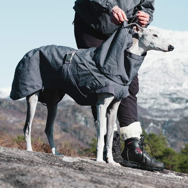 Hurtta Expedition Parka, Winter Dog Coat, BlackBerry, 32 in -E8-0886