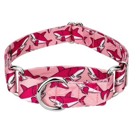 Country Brook Petz  Pink Sharks Martingale Dog Collar, Large