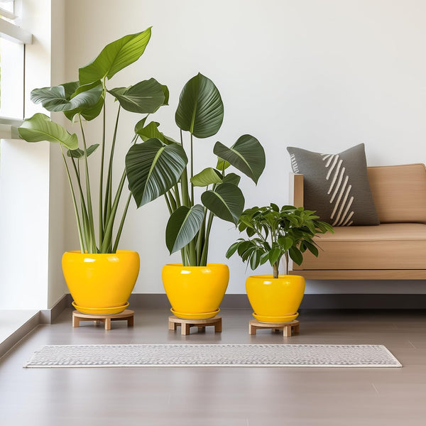 Ceramic Planters Set of 3 - Modern Round 10+8+6 Inch Plant Pots with Drainage Holes and Plant Trays for Indoor Outdoor Flowers, Decorative Garden Room Home Decor, Housewarming Gifts, Yellow 1827