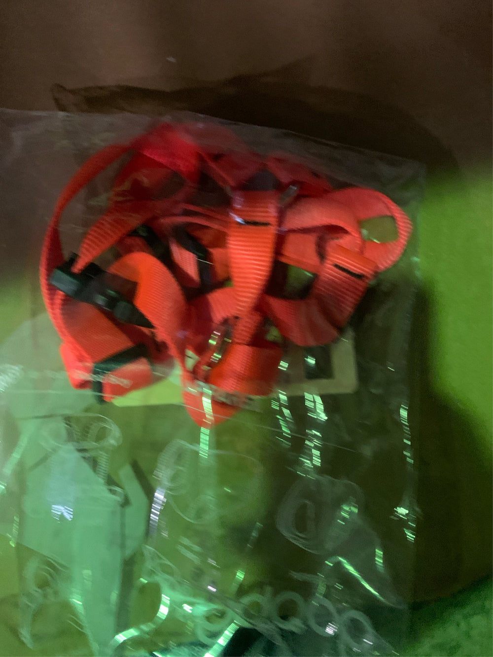 LupinePet Basics 3/4" Blaze Orange 14-24" Adjustable Roman Dog Harness for Medium Dogs -J8-0230