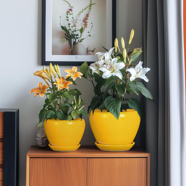 Ceramic Planters Set of 3 - Modern Round 10+8+6 Inch Plant Pots with Drainage Holes and Plant Trays for Indoor Outdoor Flowers, Decorative Garden Room Home Decor, Housewarming Gifts, Yellow 1827
